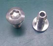 Hollow Screw